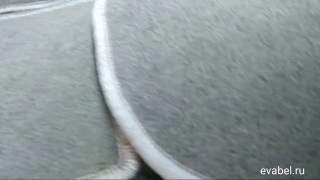 Volkswagen Caravelle T6 коврики из Бельгийского ковролина evabel.ru смотреть онлайн