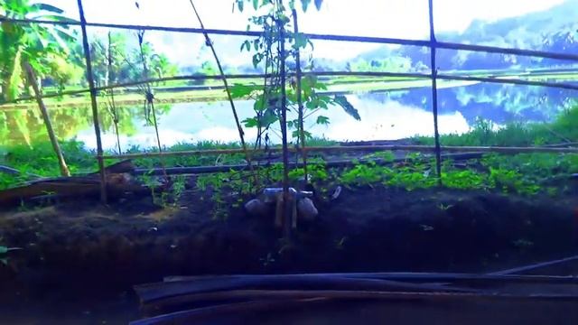 ПРАЗДНИЧНЫЕ ТРАДИЦИИ НА ФИЛИППИНАХ, БЕЗ ЭТОГО НИКАК ( HAPPY'S TRADITIONS IN PHILIPPINES ) смотреть онлайн