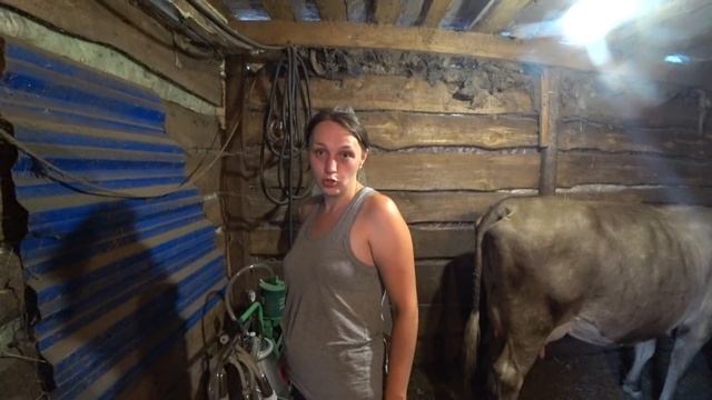 Посылка от Василька / Мой огород / Где я работаю? / Опасное сено / Семья в деревне смотреть онлайн