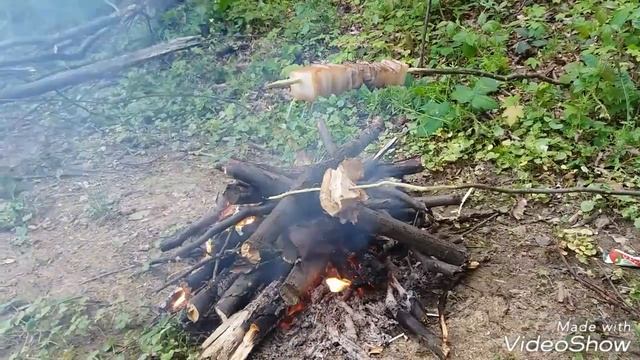 Карась, Сало, и Кортофан на углях в лесу. смотреть онлайн