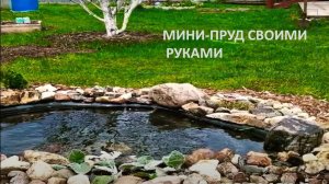 Прудик на даче своими силами.