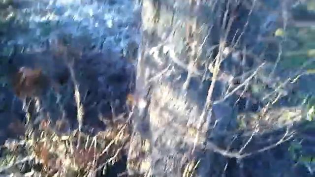 Кандык не вылез смотреть онлайн