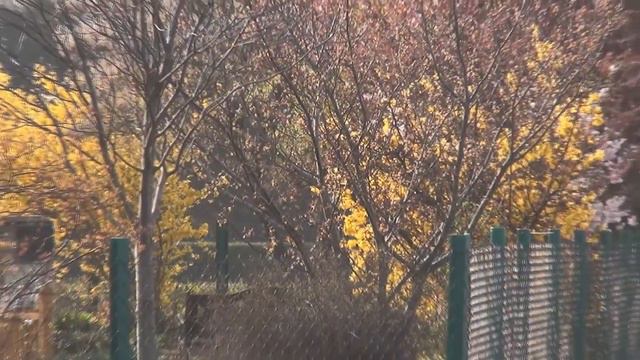 У нас весна, а у Вас ? смотреть онлайн