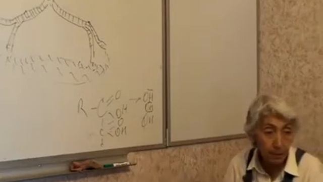 Марва Оганян. Биохимия пищеварения. Вред Мяса. смотреть онлайн