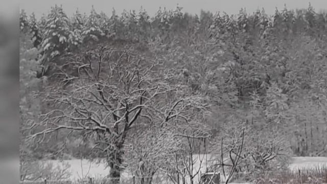 Как же красиво природа зимой. Трудно оторваться от такой красоты. смотреть онлайн