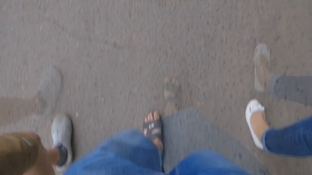 Цветок кактуса или круговорот добра в природе Реальная история. смотреть онлайн