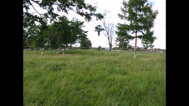 Поиск захоронений. смотреть онлайн