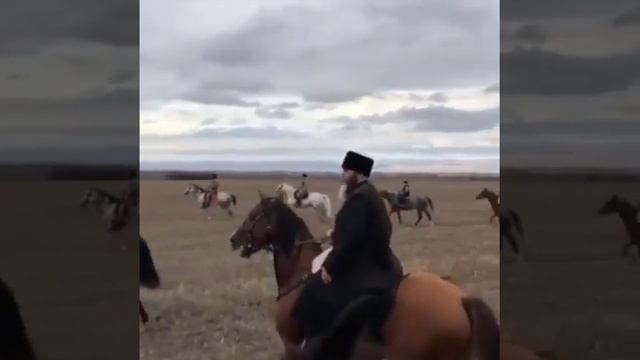 Салам Маршал от Шейха на Коне и достойной Чеченской Черной Папахе смотреть онлайн