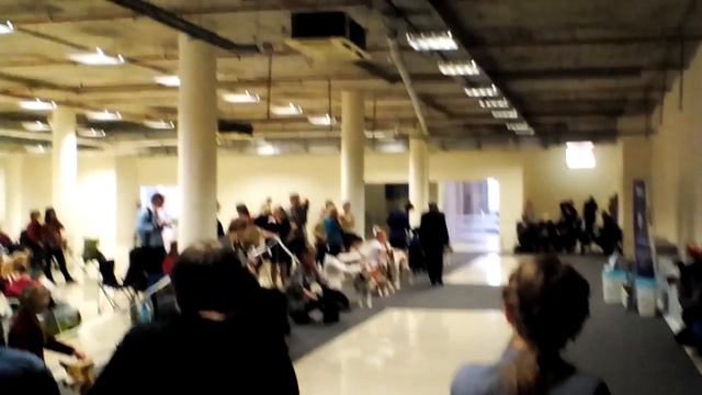 Монопородная выставка 2017 г. смотреть онлайн