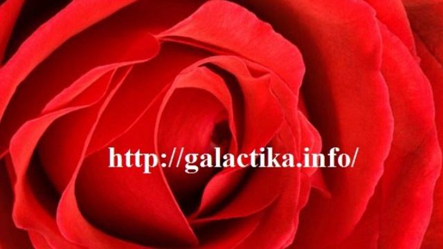 Мария Магдалина: Лёгкость. Ченнелинг с медитацией смотреть онлайн