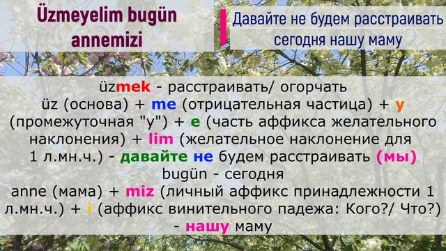 Турецкий по песням _ #49 Barış Manço - Bu Gün Bayram _ 291 день смотреть онлайн