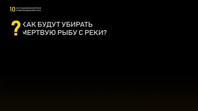10 часто задаваемых вопросов о гибели рыбы в реке Урал смотреть онлайн