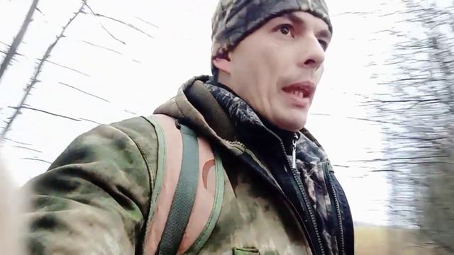 охота с Русской пегой гончей! Выжлец Шугай смотреть онлайн