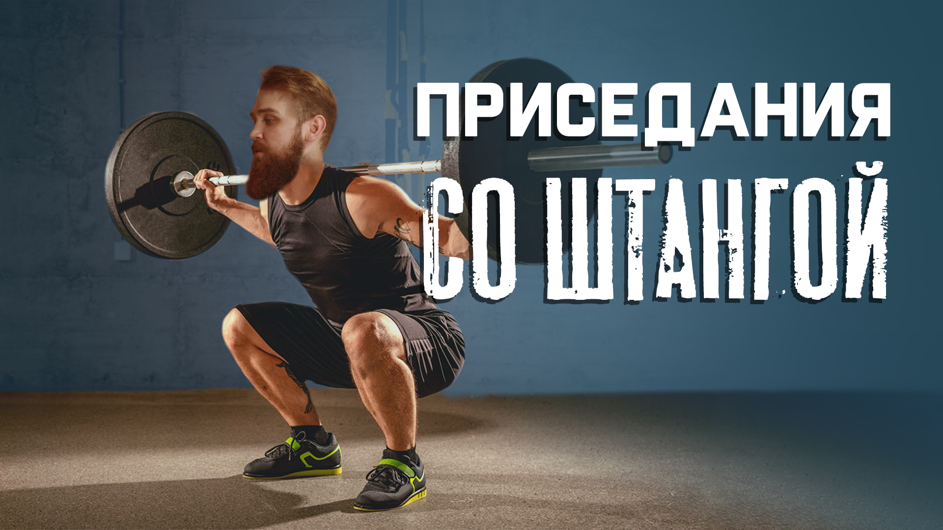 Приседания со штангой смотреть онлайн