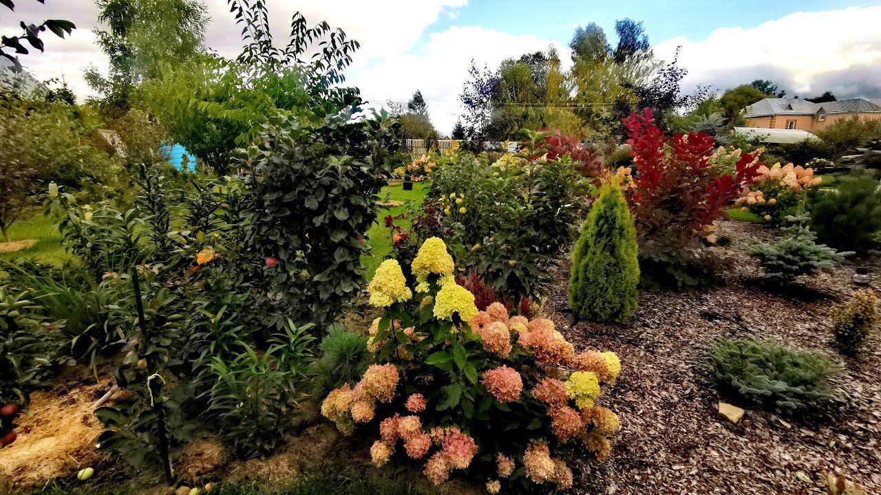 Прогулка по моему саду Часть 6 Обзор растений Сентябрь 2022 смотреть онлайн