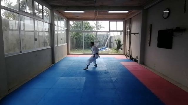 CARLOS ALBERTO AVILA SALAZAR KATA SEIENSHI смотреть онлайн