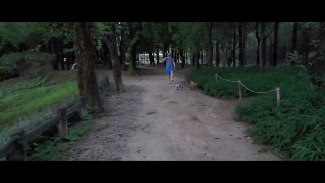 СЕУЛ ПАРКИ/서울숲/SEOUL PARKS/33 смотреть онлайн