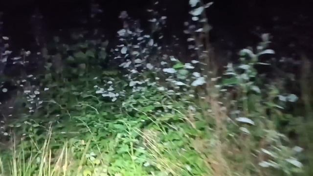 ОХОТА НА ЛОСЯ НА ВАБУ 2023г. Друзья здабыли 3×2 взрослого.#ОХОТАНАЛОСЯНАВАБУ#ОХОТАНАЛОСЯНАРЕВУ#ЛОСЬ смотреть онлайн