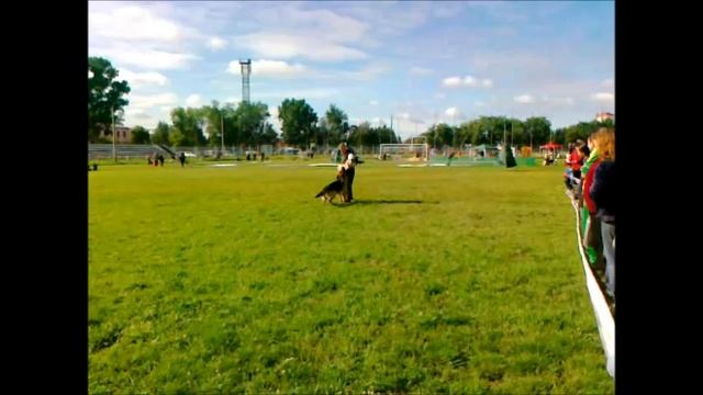 ПРОВЕРКА РАБОЧИХ КАЧЕСТВ РАБОЧЕГО КЛАССА КОБЕЛЕЙ. смотреть онлайн