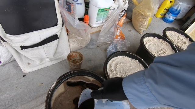 Annual Ryegrass SEEDING // Growing Ryegrass in SAND смотреть онлайн