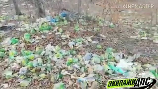 Во Владивостоке неизвестные выкинули в лесу десятки упаковок курицы смотреть онлайн