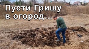 Пусти Гришу в огород...