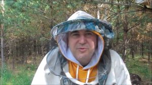 среднерусская пчела. заводчик Денис Томских. пасека видео