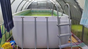 Бассейн в теплице, все выявленные плюсы и минусы, подготовка к зиме (опыт эксплуатации 3 года)