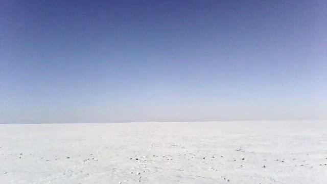 Охота с борзыми х.фирсовка Чернышковский р-он