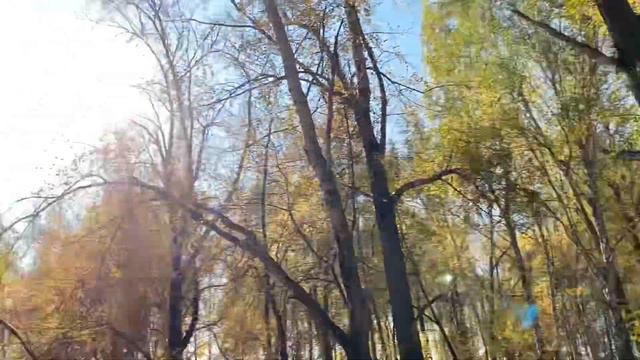 рутина больного человека(пытаюсь быть продуктивной) смотреть онлайн