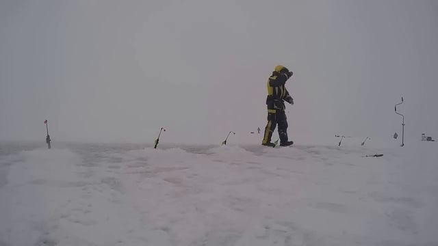 Ловля корюшки в Комарово , Финский залив смотреть онлайн