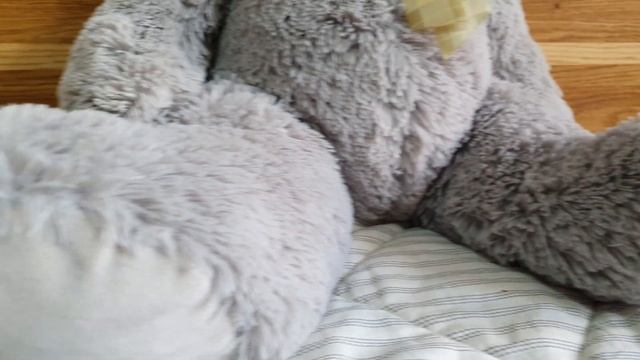 Большой плюшевый заяц зайка 80 см смотреть онлайн