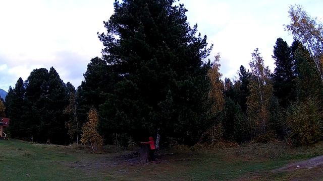 Аршан 2016 кедры смотреть онлайн