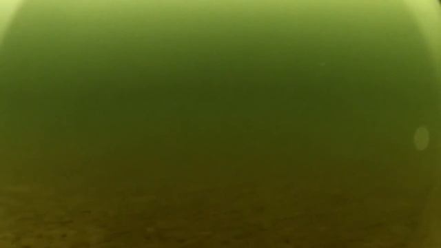 Что творится подо-льдом во время рыбалки?! Съемки под водой .Зимняя ловля на мормышку. смотреть онлайн