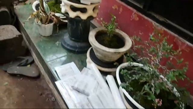 Kendang V8 V6 Red Marmer Batik смотреть онлайн