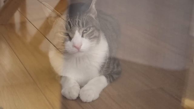 派遣社員最終出勤日🌸 смотреть онлайн