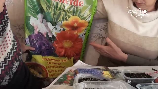 Посев семян альпийских растений Пикировка Часть 2. Сайт "Садовый мир" смотреть онлайн