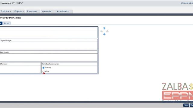 P6 EPPM Dashboard Customization смотреть онлайн