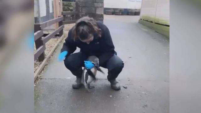 Когда давно не виделся с другом смотреть онлайн