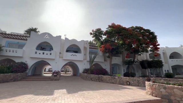 01 июня 2023, Hotel DOMINA CORAL BAY Red Sea, первый взгляд, смотреть онлайн