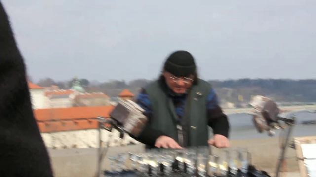 Супер игра на бокалах на Карловом мосту 2