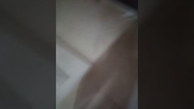 Строительные изыскания