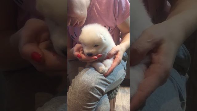 Мальчик серая ленточка смотреть онлайн