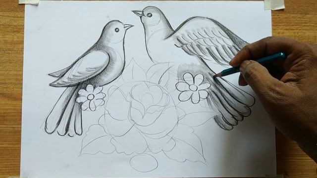 how to draw a pigeon and rose flowers with pencil sketch,how to draw birds and flowers,bird drawing смотреть онлайн
