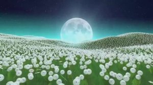 🎧 Сура Ясин сердце Корана 7 раз, успокаивает душу на всю ночь!