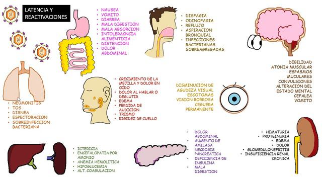 CITOMEGALOVIRUS смотреть онлайн