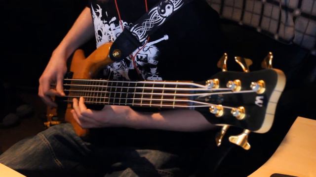 「Rose」- 이하이 (Lee Hi) 【Bass Cover w/ Tabs】 смотреть онлайн