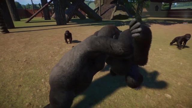 Planet Zoo (PC)(English) #43 Western Lowland Gorilla Fight смотреть онлайн