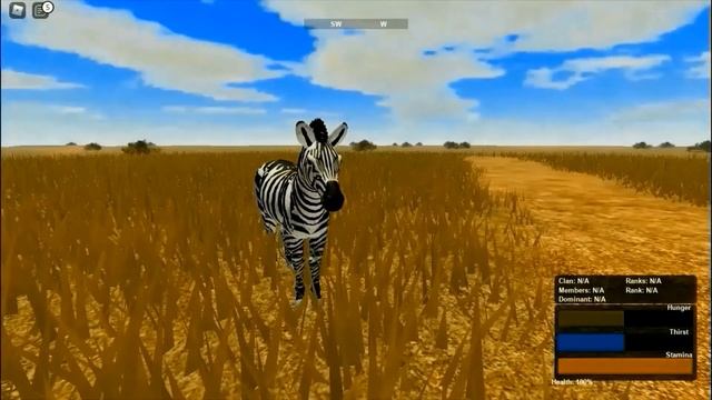 Zebra controlls ROBLOX WIld Savanna смотреть онлайн