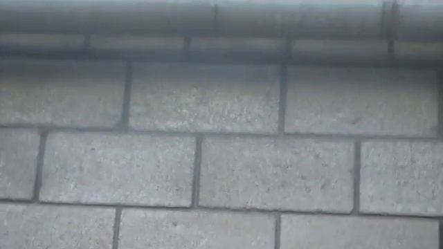 Очарование прошлого